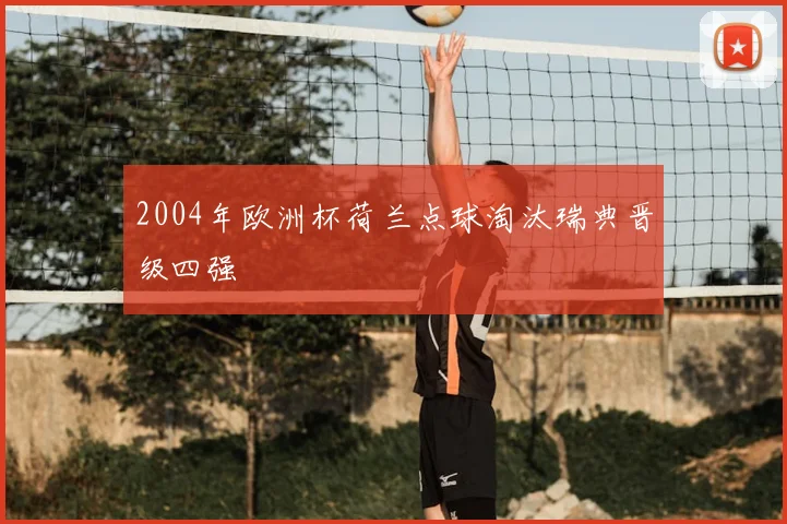 2004年欧洲杯荷兰点球淘汰瑞典晋级四强